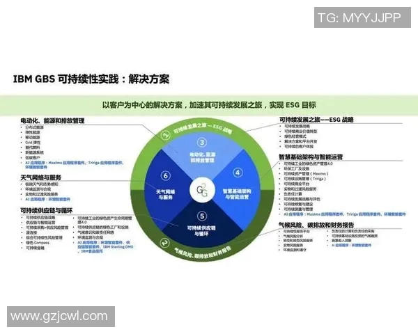 创新驱动与可持续发展：探索未来鞋业的转型与发展新机遇