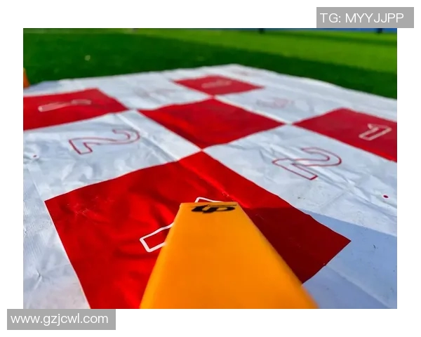 张磊亲授飞盘技巧与心得分享助你提升游戏水平