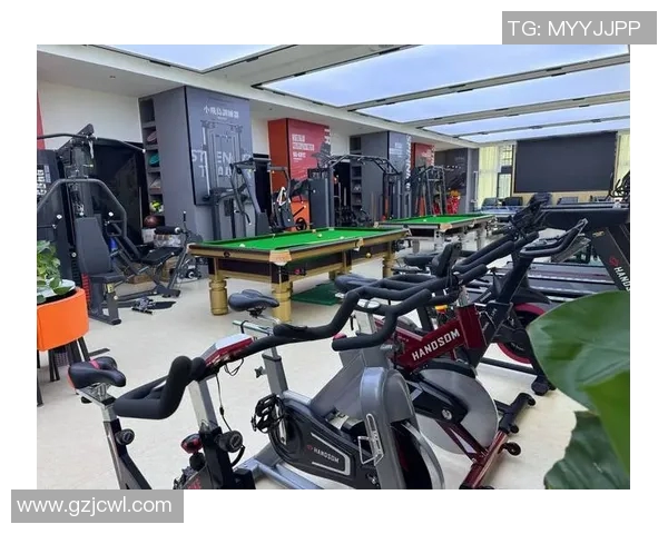 赛玛健身器材的品牌特色与用户评价